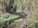 Bach bei Garbers Wald 
